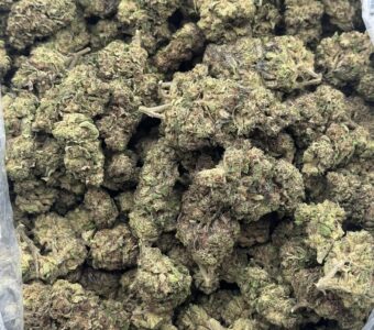 $550 LB Special – Biscotti (Indica)