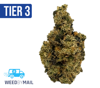 Tier 3 Lemon Cherry Gelato (28.90% THC) (Hybrid)