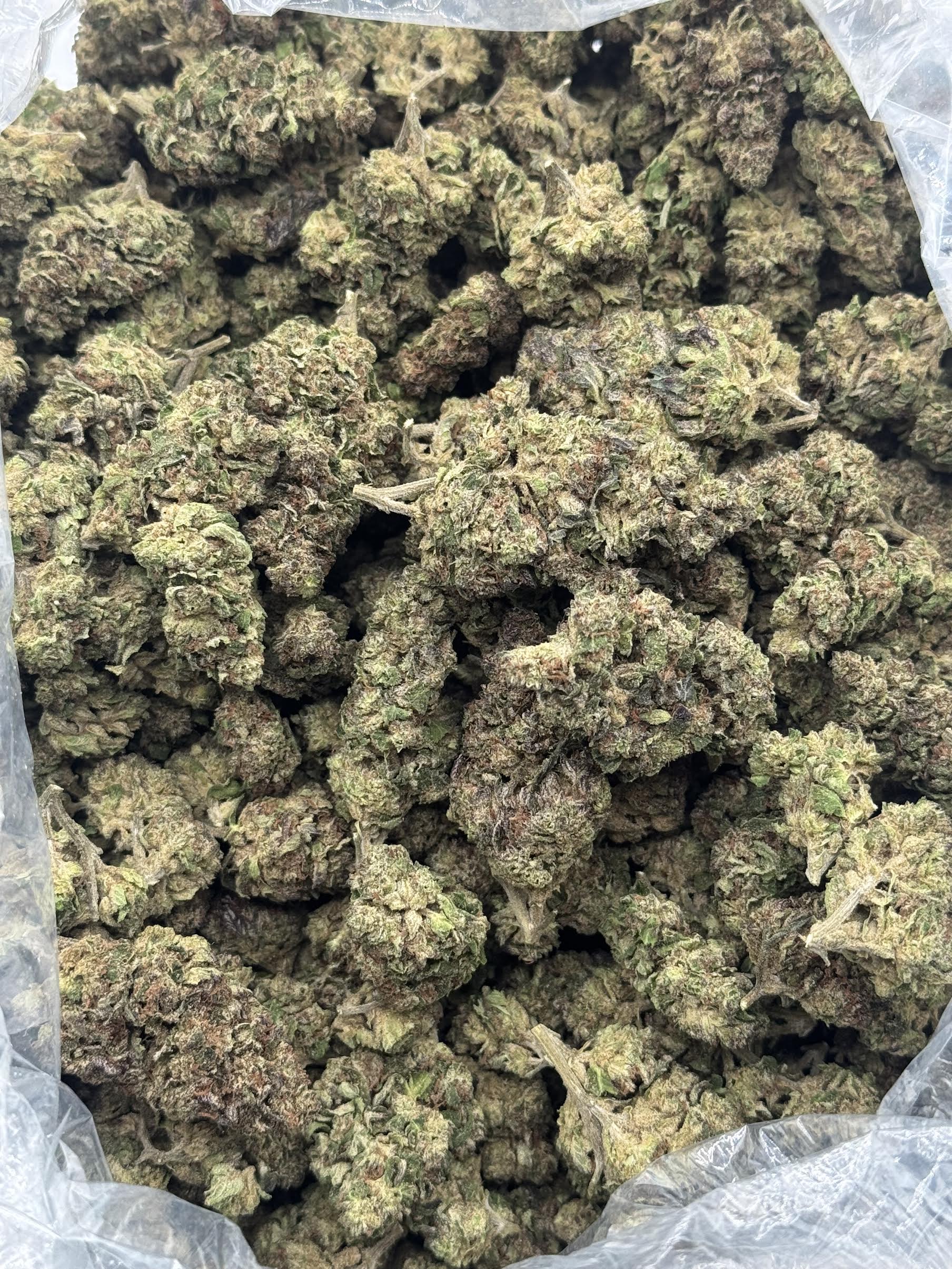 $550 LB Special - Biscotti (Indica)