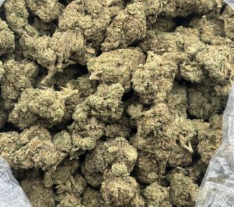 $700 LB Special – Exotic Kush (Hybrid)