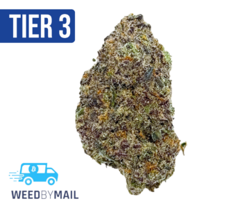 Tier 3 Purple Dream (28.86% THC) (Hybrid)