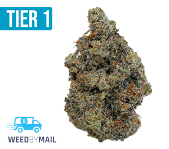 Tier 1 Formula 1 (35.98% THC)(Indica)