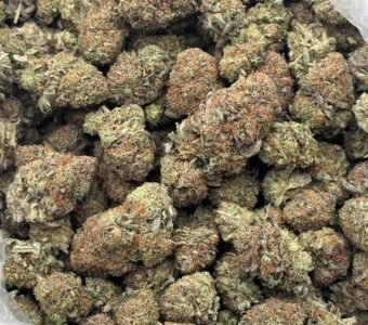 $900 Indoor LB Special “Bubba Kush” (Indica)