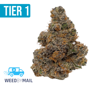 Tier 1 Pineapple Express (36.92% THC)(Hybrid)