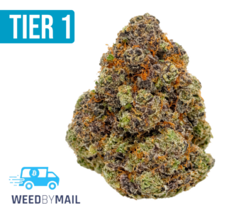 Tier 1 Donny Burger (35.88% THC)(Indica)