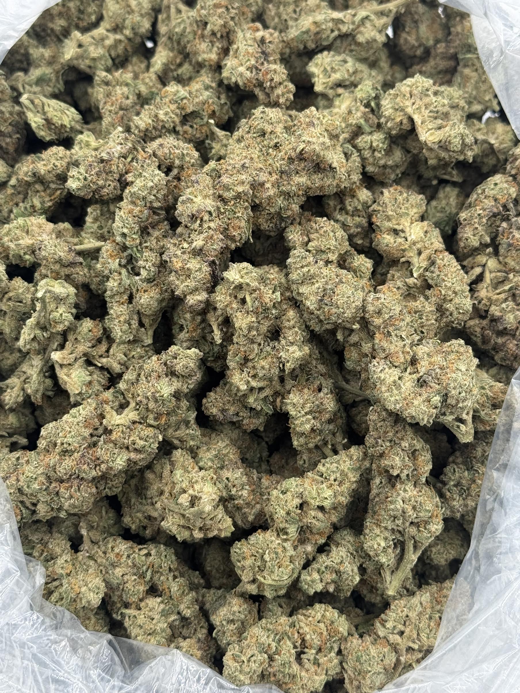 $600 LB Special - Red Eye OG (Indica)