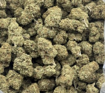 $600 LB Special – GMO Cookies (Hybrid)