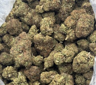 $600 LB Special – Illuminati OG (Indica)