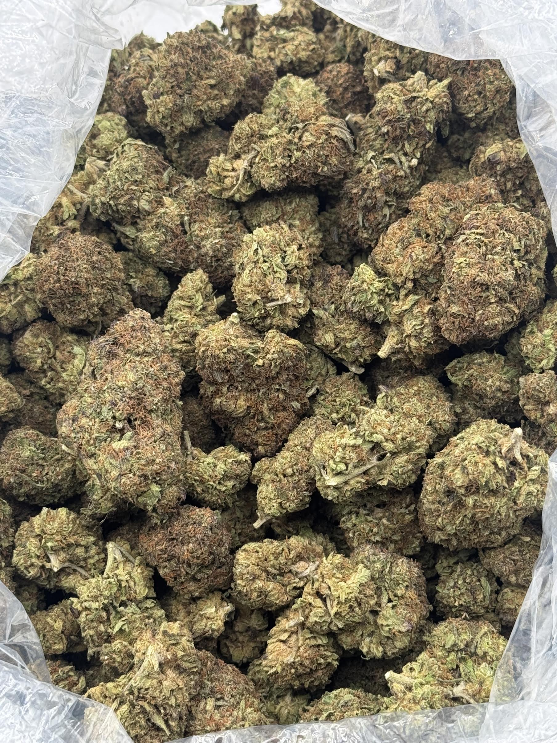 $600 LB Special - Illuminati OG (Indica)