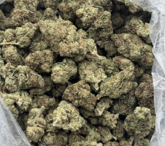 $650 LB Special – Jet Fuel (Hybrid)