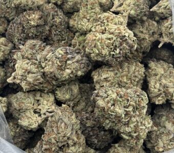 $700 LB Special – White Tahoe Cookies (Indica)