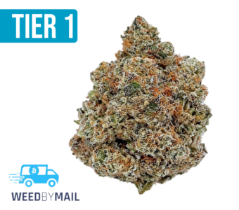 Tier 1 God’s Breath (35.85% THC)(Indica)