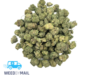 Tier 2 (Small Buds) Presidential OG (31.88% THC)(Indica)