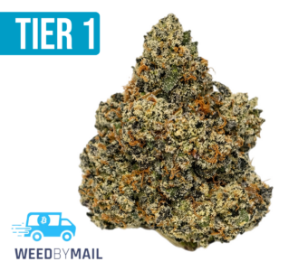 Tier 1 OGKB (35.93% THC)(Indica)