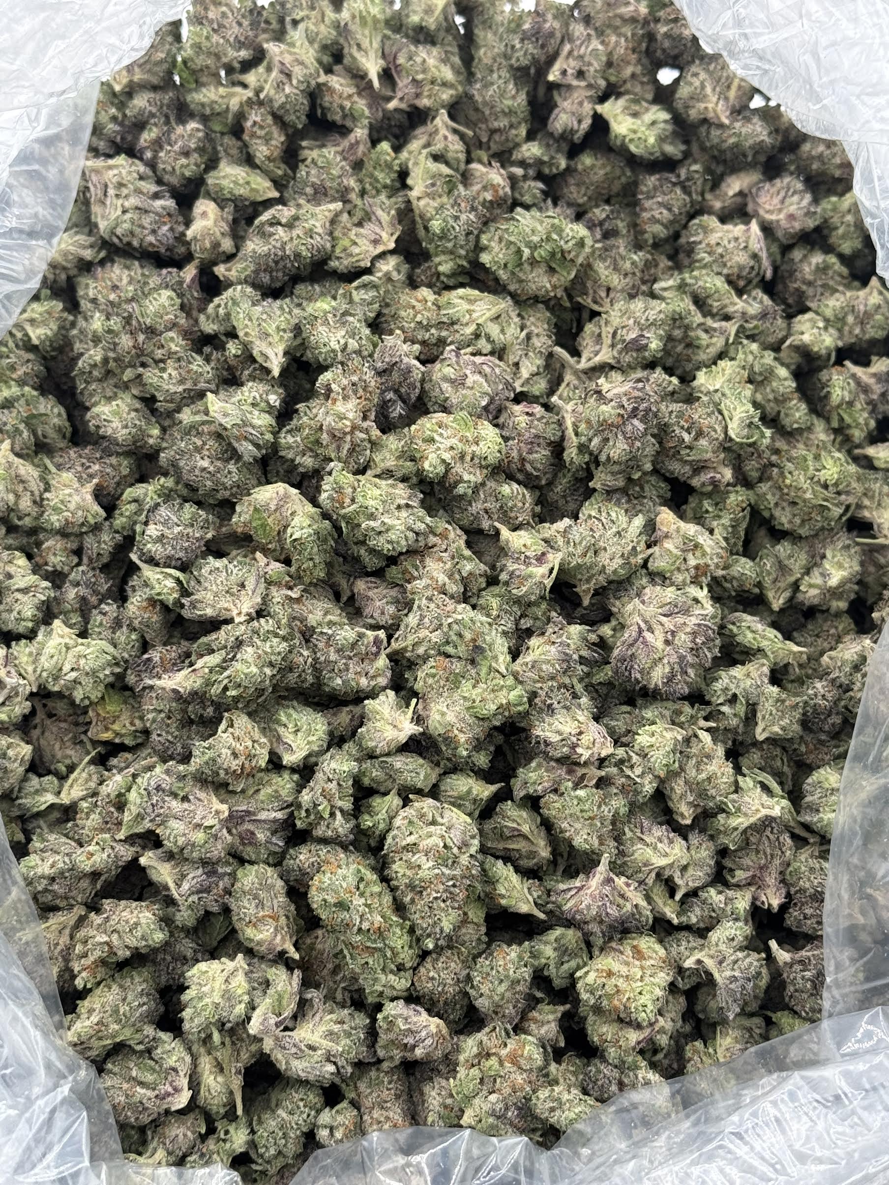$850 Small Buds LB Special - Passion Fruit (Sativa)