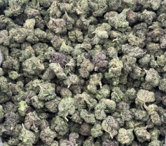 $850 Small Buds LB Special – Animal Cookies (Hybrid)