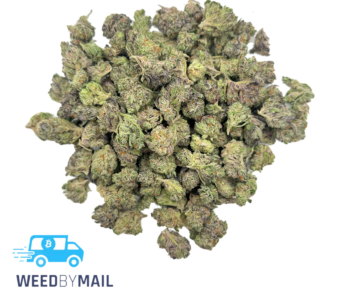 Tier 2 (Small Buds) Passion Fruit (31.84% THC)(Sativa)