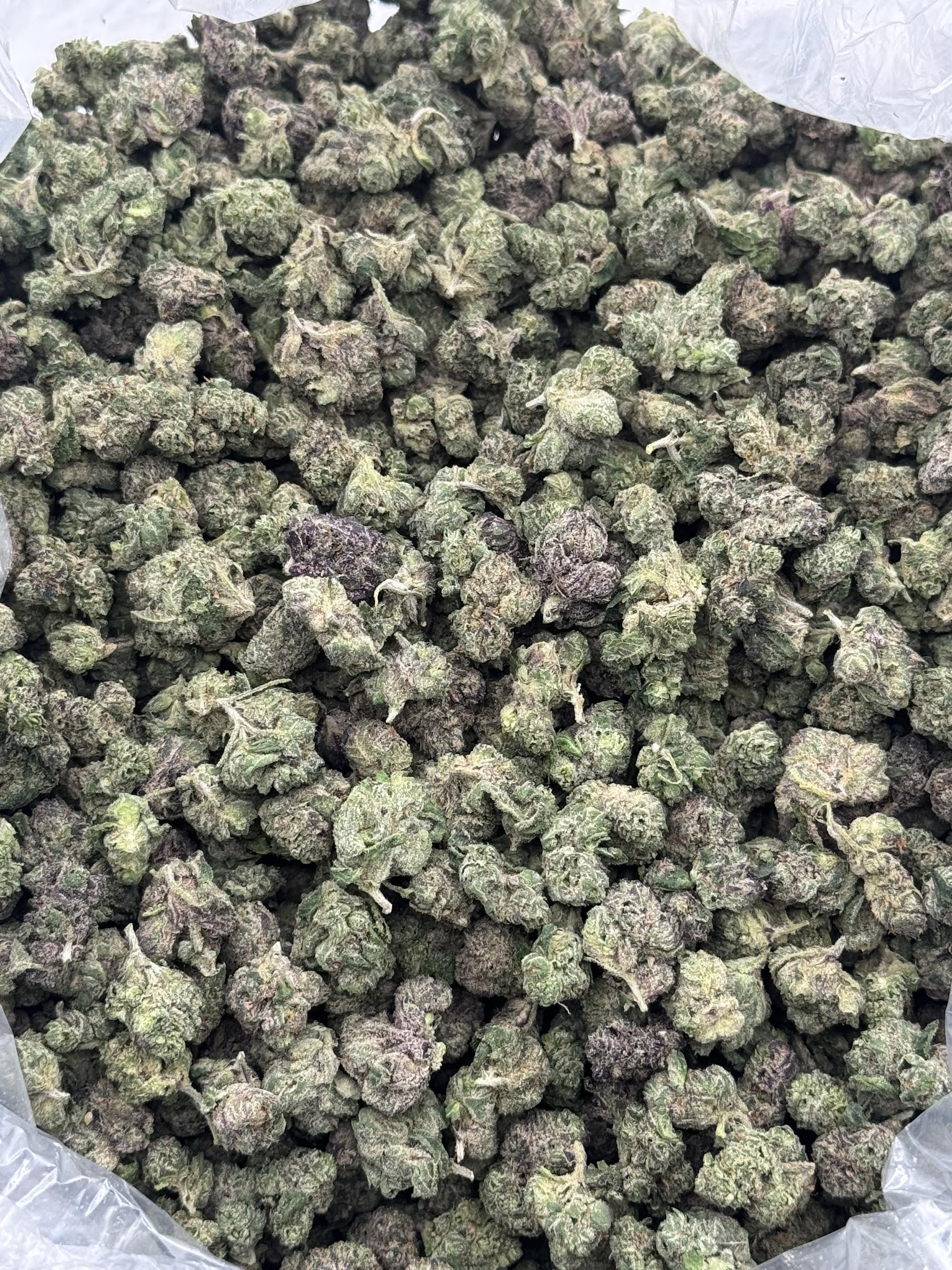 $850 Small Buds LB Special - Animal Cookies (Hybrid)