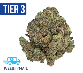 Tier 3 Cosmic Cookies (28.96% THC) (Hybrid)