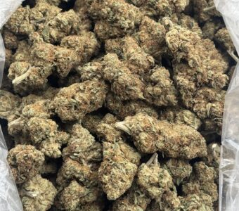 $600 LB Special – Higher Power (Sativa)