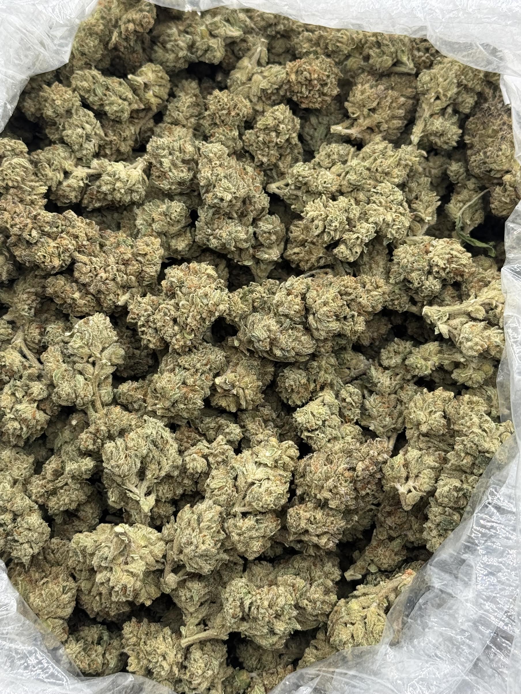 $600 LB Special - Gas Berry (Hybrid)