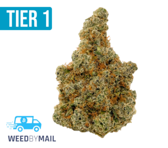 Tier 1 Durban Poison (36.94% THC)(Sativa)