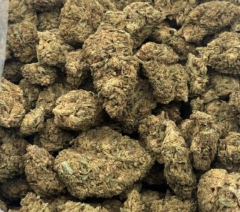 $280 LB Special – Sour Tsunami (Hybrid)