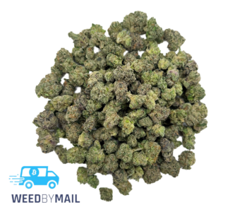 Tier 2 (Small Buds) White Cherry Gelato (31.93% THC)(Hybrid)