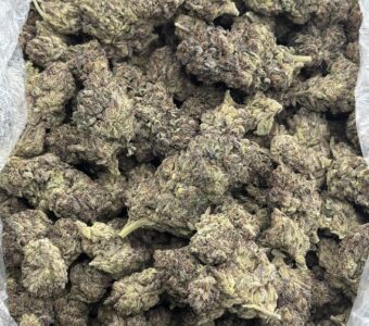 $750 LB Special – Blackberry Kush (Indica)