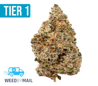 Tier 1 Tropicana Cherry (36.87% THC)(Sativa)