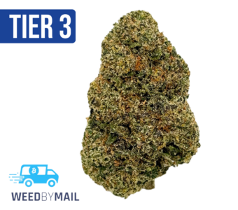 Tier 3 Blue Gummies (28.98% THC) (Indica)