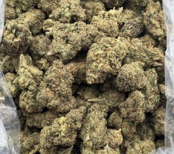 $650 LB Special – Acapulco Gold (Sativa)