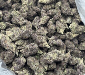 $775 LB Special – Forbidden Fruit (Indica)