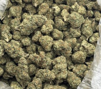 $550 LB Special – UK Cheese (Hybrid)