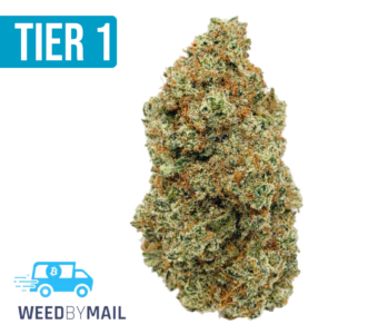 Tier 1 Truffle Butter (36.89% THC)(Hybrid)