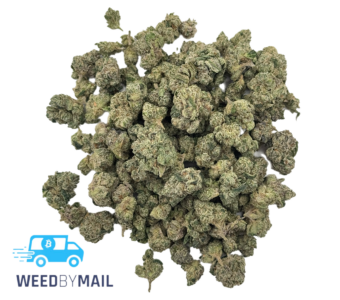 Tier 2 (Small Buds) Black Cherry Gelato (31.90%) (Hybrid)