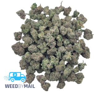 Tier 2 (Small Buds) Mochi (31.87%) (Hybrid)