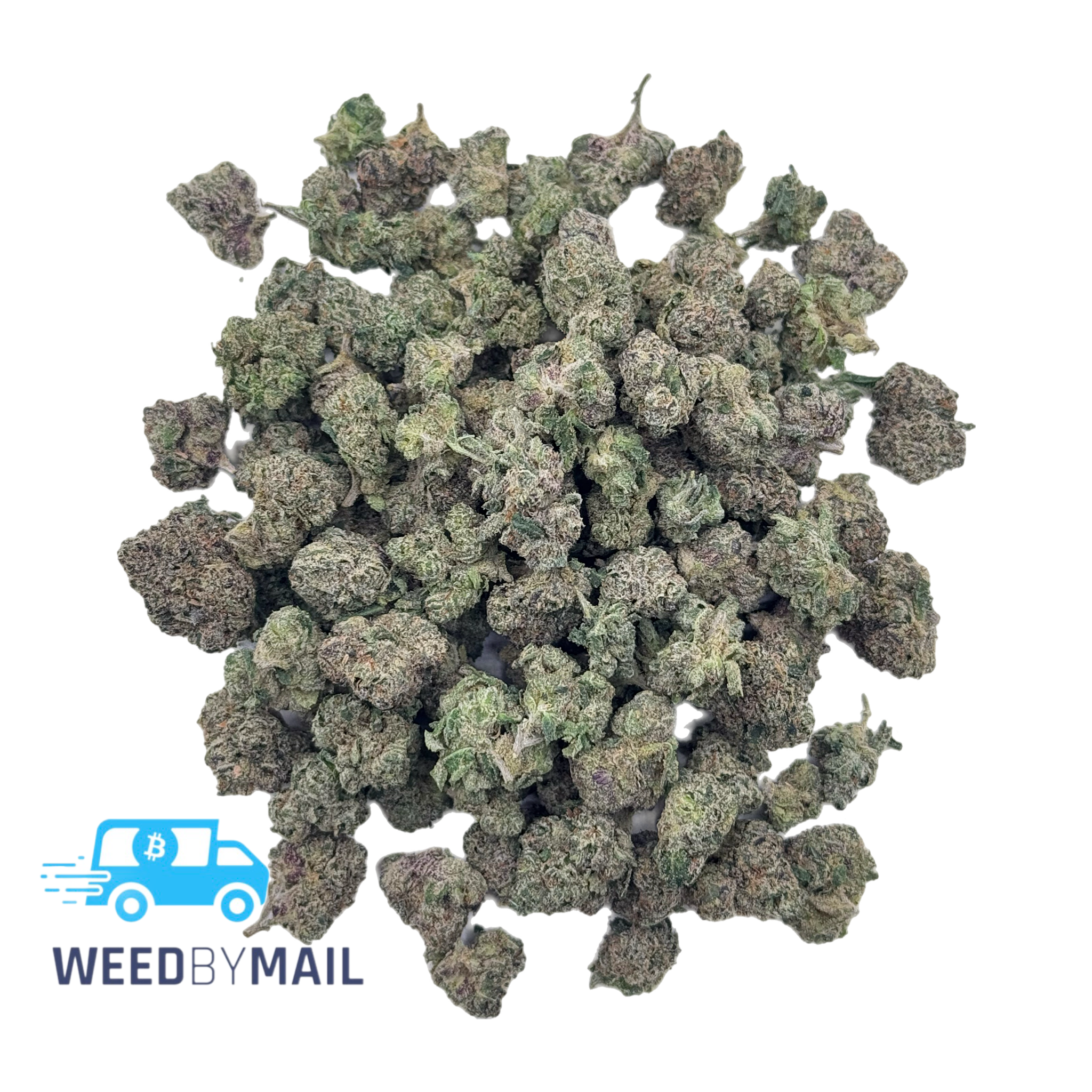 Tier 2 (Small Buds) Mochi (31.87%) (Hybrid)