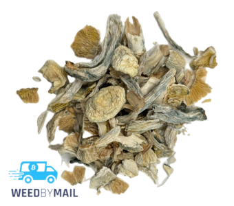 Magic Mushroom Shake (2 Options)