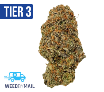 Tier 3 Gastro Pop (28.90% THC) (Hybrid)