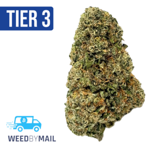 Tier 3 Greasy Runtz (28.88% THC) (Hybrid)