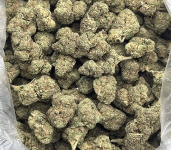 $625 LB Special – Blue Z (Indica)