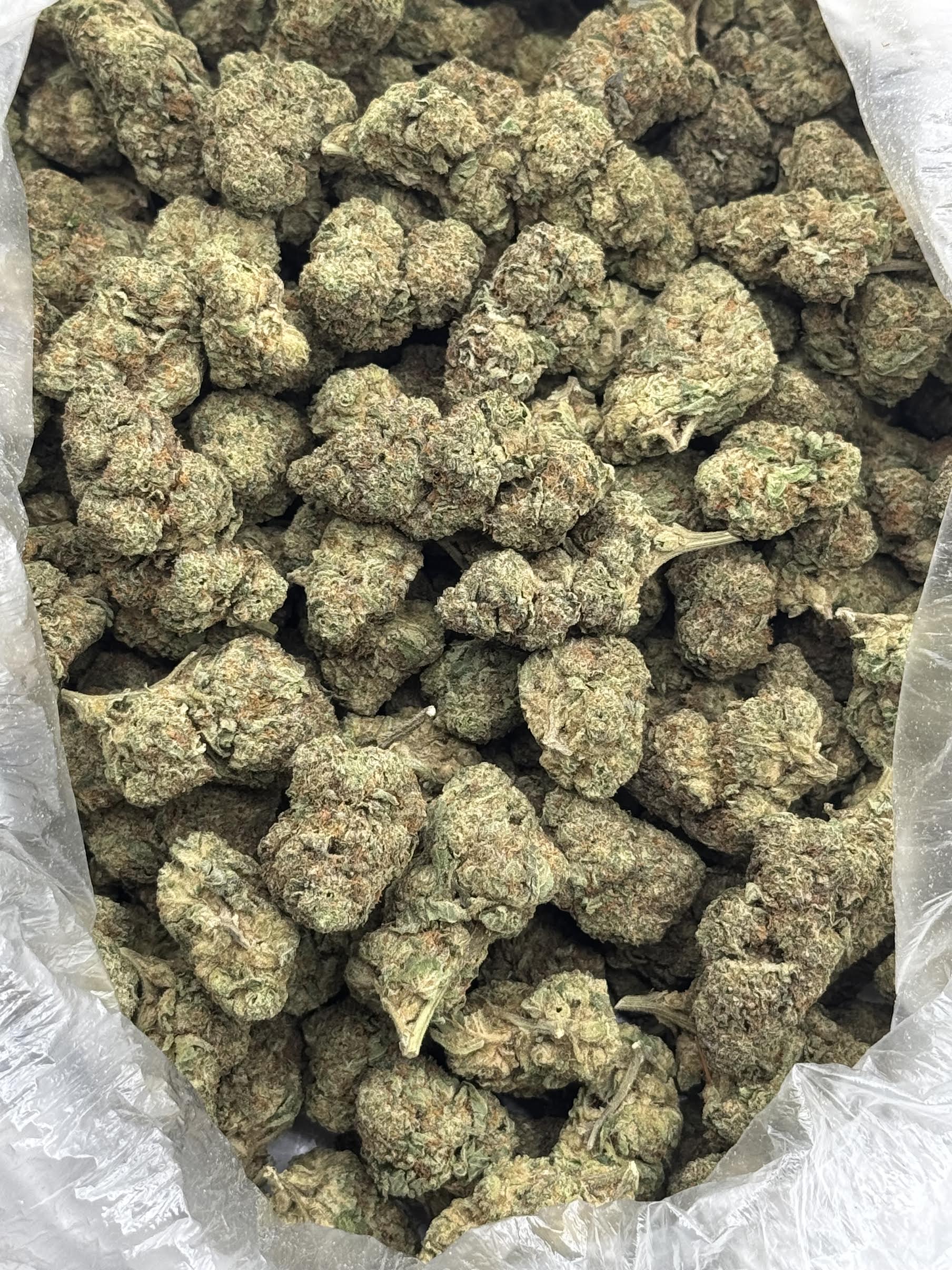 $625 LB Special - Blue Z (Indica)