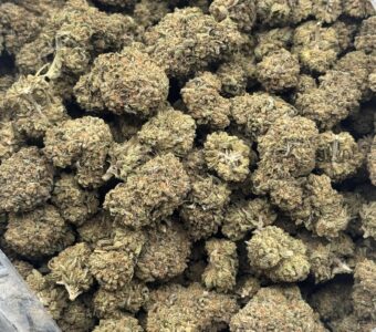 $450 LB Special – Critical Mass (Indica)