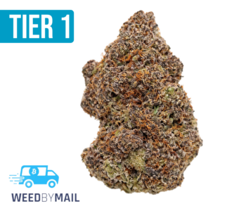 Tier 1 Pineapple Express (36.88% THC)(Hybrid)