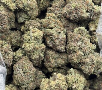 $740 LB Special – Purple Runtz (Hybrid)