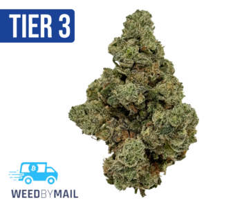 Tier 3 Comatose OG (28.94% THC) (Indica)