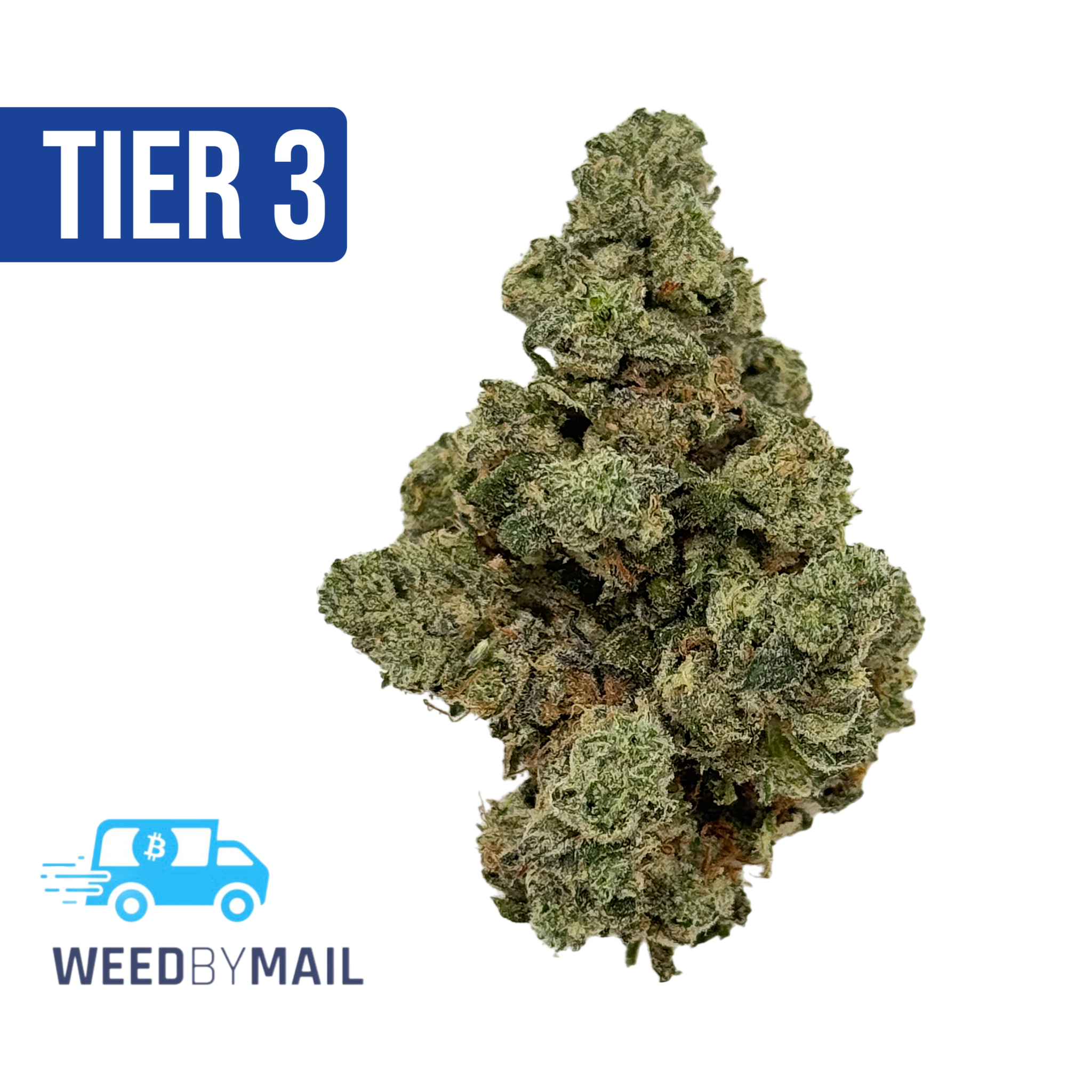 Tier 3 Comatose OG (28.94% THC) (Indica)