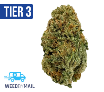 Tier 3 Papaya Cake (28.81% THC) (Indica)