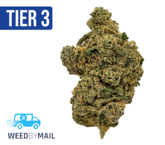 Tier 3 Dolato (28.90% THC) (Indica)